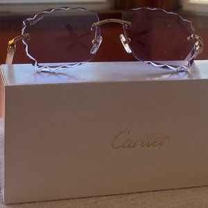 Cartier C17A37F - Aztec